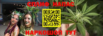спайс Кинель