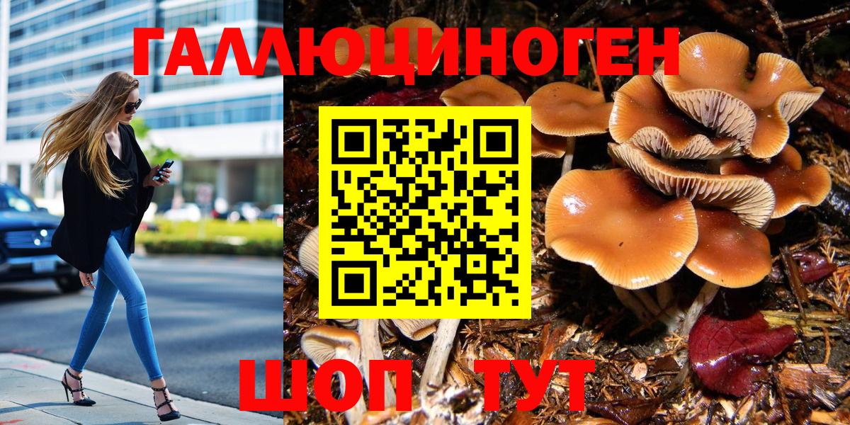 Коммунар  Галлюциногенные грибы мухоморы  Псилоцибиновые грибы мухоморы  Вход с VPN 